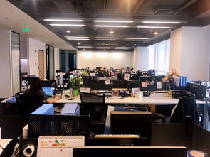 看準(zhǔn)網(wǎng)