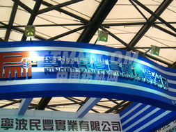 民豐實業(yè) 09上海紡機展